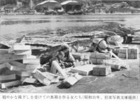 昭和30年代の港での魚箱打ち